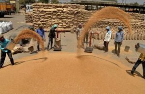 Arhtiyas to go on strike today as wheat procurement begins – The Tribune Arhtiyas to go on strike today as wheat procurement begins - The Tribune