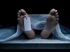 Contractor on run in house-collapse case – The Tribune Contractor on run in house-collapse case - The Tribune