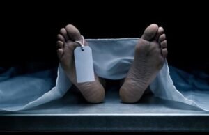 Contractor on run in house-collapse case – The Tribune Contractor on run in house-collapse case - The Tribune