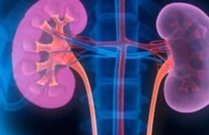 The Telegram Trap: How Kanpur’s Organ Mafia Used Encrypted Chats To Source Kidneys (Credit: X/IndianFootball)