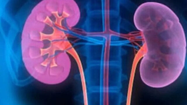 The Telegram Trap: How Kanpur’s Organ Mafia Used Encrypted Chats (Credit: X/IndianFootball)