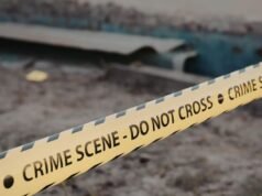 35-Year-Old Woman Killed In Delhi’s Mangolpuri, Body Found In Bed Box Delhi Capitals vs Gujarat Titans Live Score: IPL 2026 Match Today Updates From Arun Jaitley Stadium in Delhi. (Picture Credit: AP, X/@gujarat_titans)