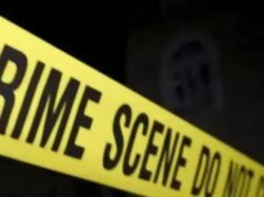 Chhattisgarh Man Slits Wife’s Throat, Walks Through Village With Severed Head RCB batter Tim David.(AP)