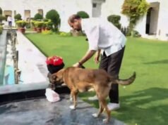 Delhi Assembly Breach: Tis Hazari Court Remands Sarabjit Singh to 8-Day Police Custody Meghalaya Board MBOSE SSLC Result 2026 LIVE: Class 10 results at megresults.nic.in.