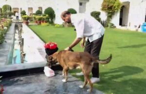 Delhi Assembly Breach: Tis Hazari Court Remands Sarabjit Singh to 8-Day Police Custody Meghalaya Board MBOSE SSLC Result 2026 LIVE: Class 10 results at megresults.nic.in.