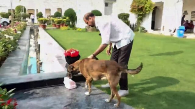 Delhi Assembly Breach: Tis Hazari Court Remands Sarabjit Singh to Meghalaya Board MBOSE SSLC Result 2026 LIVE: Class 10 results at megresults.nic.in.