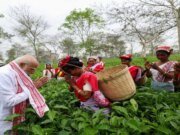 From Plucking Tea Leaves To Jhumur Songs: PM Modi’s Day Out With Tea Garden Workers In Assam Sensex Today (Source: Freepik)