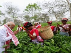 From Plucking Tea Leaves To Jhumur Songs: PM Modi’s Day Out With Tea Garden Workers In Assam Sensex Today (Source: Freepik)