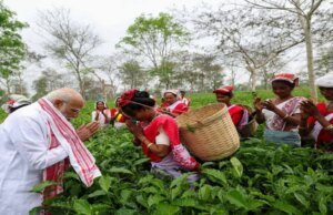 From Plucking Tea Leaves To Jhumur Songs: PM Modi’s Day Out With Tea Garden Workers In Assam Sensex Today (Source: Freepik)