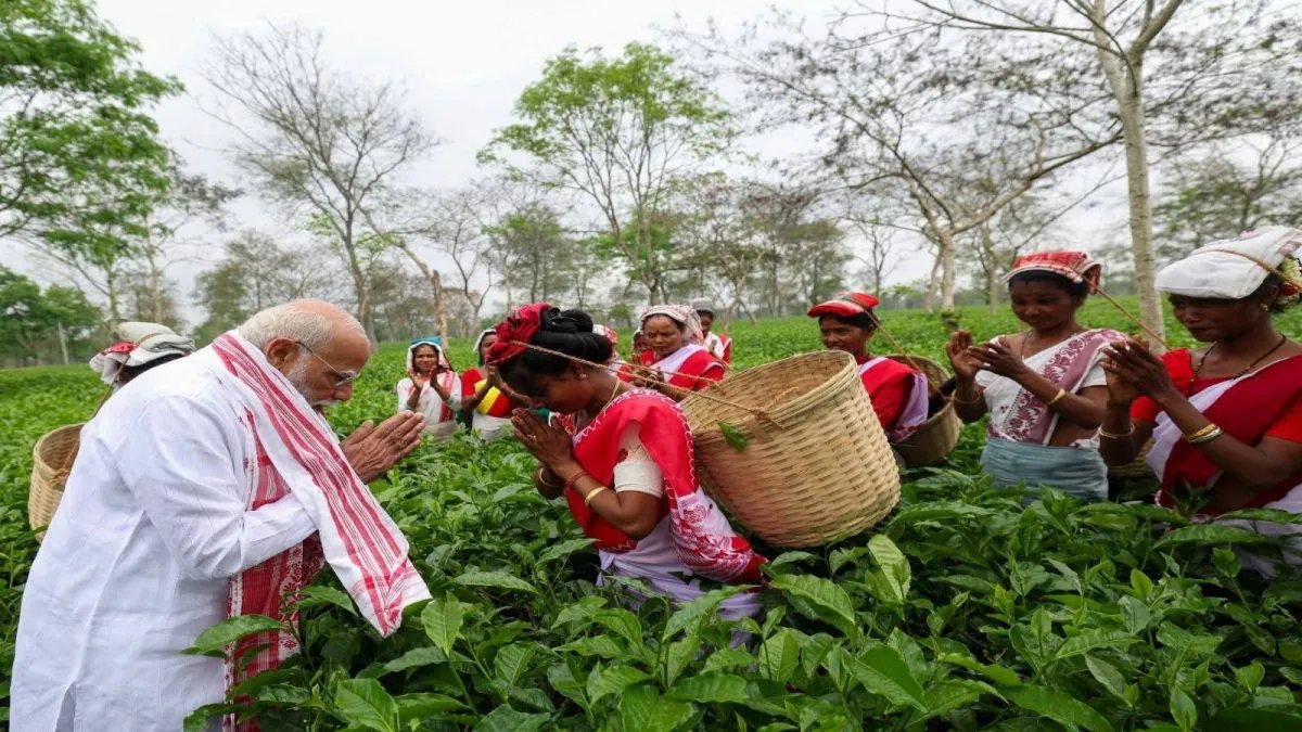 From Plucking Tea Leaves To Jhumur Songs: PM Modi’s Day Out With Tea Garden Workers In Assam