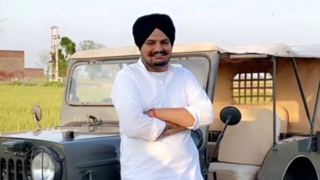 RCB batter Tim David.(AP)