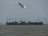 Iranian crude returns to India after seven years as tankers dock at key ports Iranian crude returns to India after seven years as tankers dock at key ports