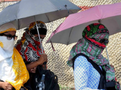 Karnataka Heatwave: Govt Employee Dies In 2nd Suspected Heatstroke Death In 48 Hours (Representational pic/AP)