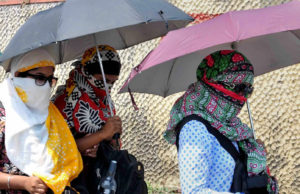 Karnataka Heatwave: Govt Employee Dies In 2nd Suspected Heatstroke Death In 48 Hours (Representational pic/AP)