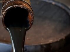 Oil India Boosts Crude Oil Output In Rajasthan’s Thar With Advanced Recovery Methods Amid Crisis Sunrisers Hyderabad are coming off a win against Kolkata Knight Riders (Picture credit: AP)