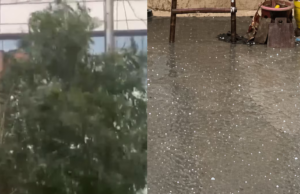 Rain, Hailstorm Bring Relief To Delhi-NCR From Scorching Heat Kerala Lottery Result Today: The first prize winner of Karunya Plus KN-621 will take home Rs 1 crore. (Image: Shutterstock)