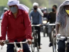 Respite For Delhi, NCR As Rain, Dust Storms Likely To Break Heatwave Spell This Week Josh Hazlewood celebrate with teammates the wicket of Delhi Capitals' KL Rahul (Picture credit: AP)