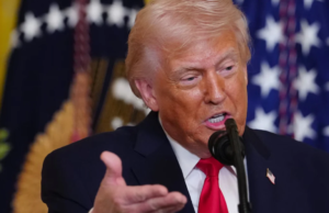 ‘Uninformed, Inappropriate And In Poor Taste’: India On Trump’s ‘Hell-Hole’ Remark Chennai Super Kings' Akeal Hosein, second right, celebrates with teammates the wicket of of Mumbai Indian's Danish Malewar during the Indian Premier League cricket match between Mumbai Indians and Chennai Super Kings in Mumbai, India, Thursday, April 23, 2026.(AP Photo/ Rafiq Maqbool)