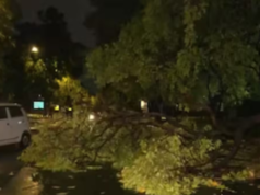 60 Killed After Storm, Rain Lashes Parts Of Uttar Pradesh; CM Yogi Orders Relief Trump received a red carpet welcome by China at Beijing airport.