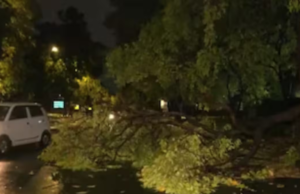 60 Killed After Storm, Rain Lashes Parts Of Uttar Pradesh; CM Yogi Orders Relief Trump received a red carpet welcome by China at Beijing airport.