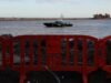 Americans from virus-hit ship will not necessarily be quarantined: official Americans from virus-hit ship will not necessarily be quarantined: official