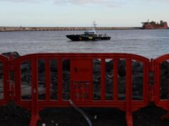 Americans from virus-hit ship will not necessarily be quarantined: official Americans from virus-hit ship will not necessarily be quarantined: official