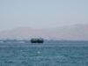 Attack on Indian-flagged ship off Oman coast ‘unacceptable’, says MEA; crew members safe Attack on Indian-flagged ship off Oman coast ‘unacceptable’, says MEA; crew members safe