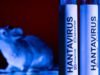 Deadly Hantavirus Cruise Ship Outbreak: List Of Countries That Have Reported Cases PBKS Vs DC IPL 2026 Highlights