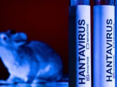 Deadly Hantavirus Cruise Ship Outbreak: List Of Countries That Have Reported Cases PBKS Vs DC IPL 2026 Highlights