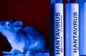 Deadly Hantavirus Cruise Ship Outbreak: List Of Countries That Have Reported Cases PBKS Vs DC IPL 2026 Highlights