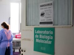French hantavirus patient is critically ill, on artificial lung as total cases grow to 11 French hantavirus patient is critically ill, on artificial lung as total cases grow to 11