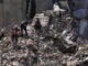 Israel says it killed Hezbollah commander in first strike on Beirut since ceasefire Israel says it killed Hezbollah commander in first strike on Beirut since ceasefire