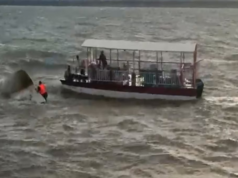 Jabalpur boat tragedy, mother and child found in final embrace Nepal Vs UAE Live Score: Follow latest updates from ICC World Cup League Two. (Picture Credit: X/CricketNep)