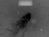 Two killed as U.S. military strikes on alleged drug boat in eastern Pacific Two killed as U.S. military strikes on alleged drug boat in eastern Pacific