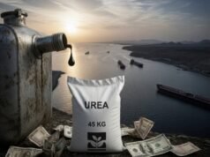 West Asia War Hits Home: Are We Prepared? Fuel, Forex & Fertiliser Supply Numbers Explained PBKS vs DC IPL 2026 Live Streaming Details (AP)